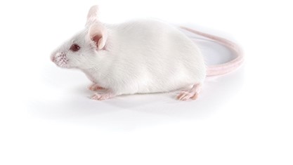 ά��������Ʒ��vic3308(�й�)�ɷ����޹�˾