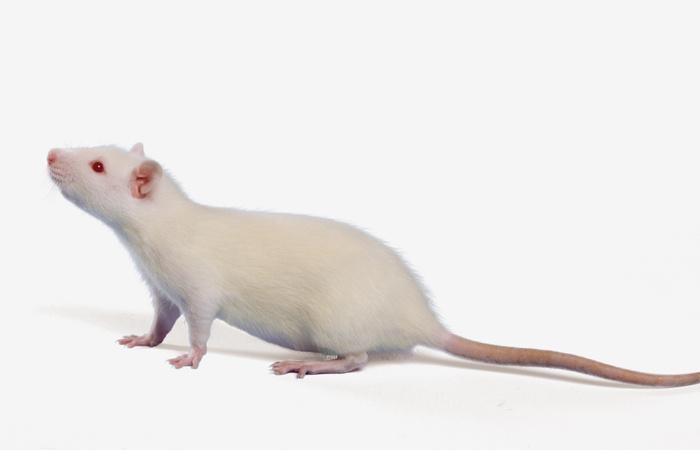 维多利亚老品牌vic3308(中国)股份有限公司