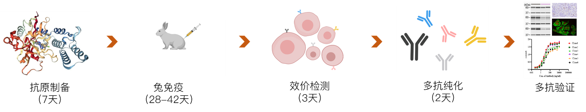 ά��������Ʒ��vic3308(�й�)�ɷ����޹�˾