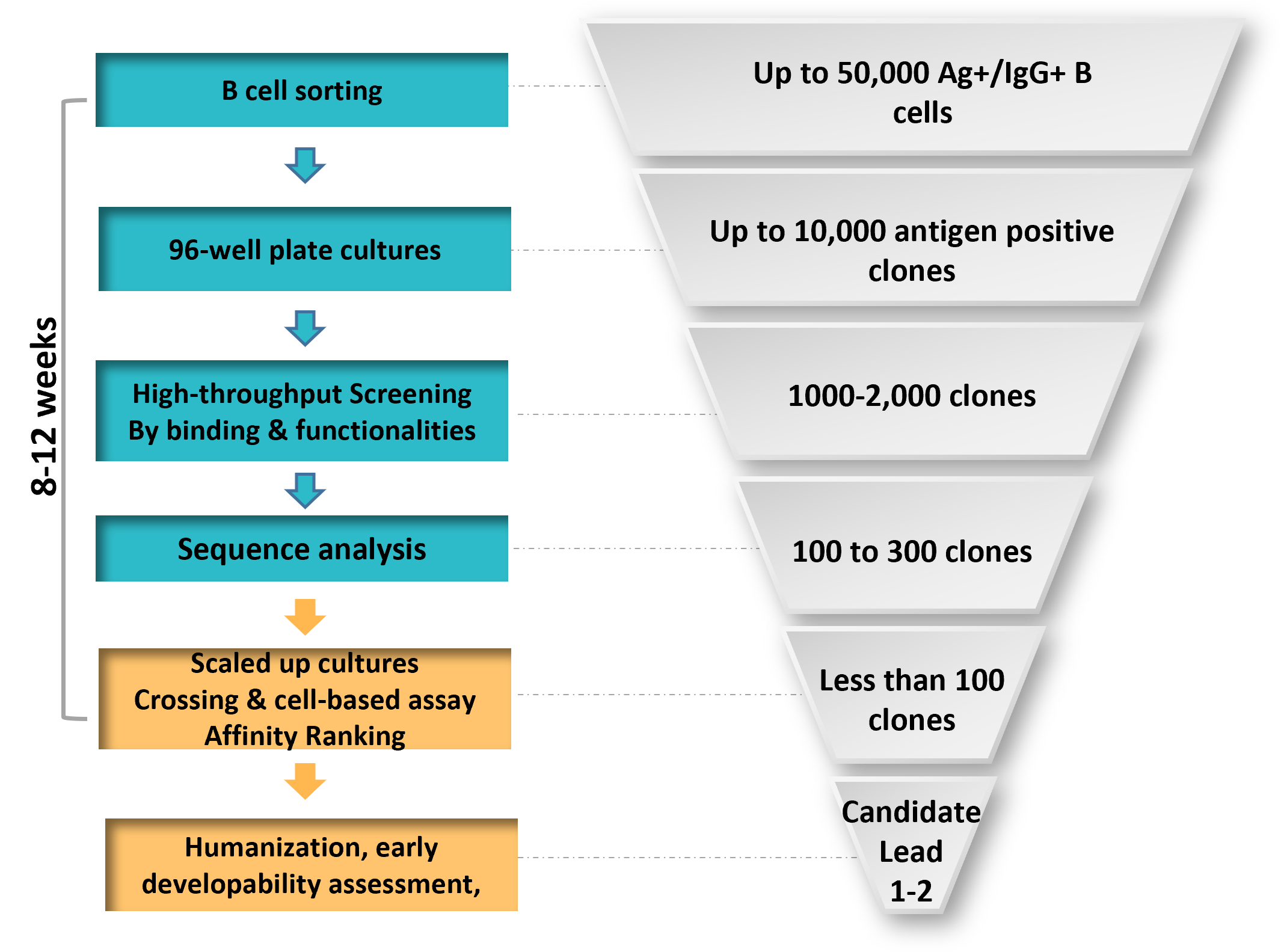 ά��������Ʒ��vic3308(�й�)�ɷ����޹�˾