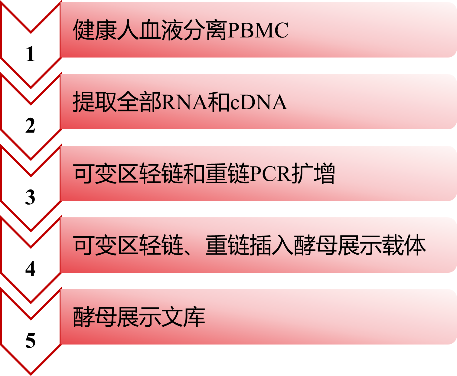 ά��������Ʒ��vic3308(�й�)�ɷ����޹�˾