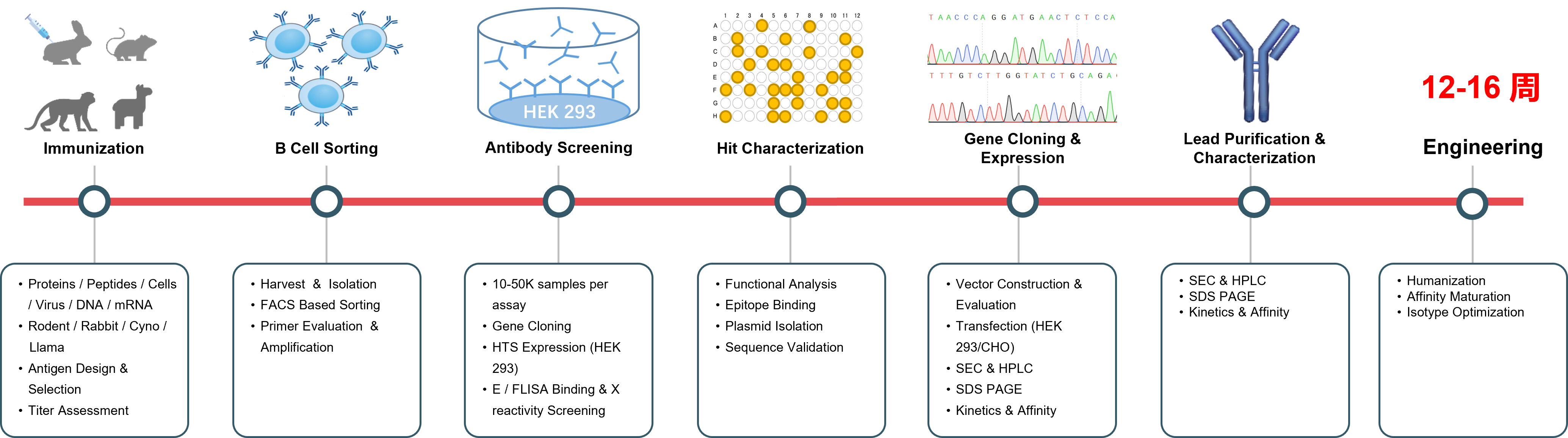 ά��������Ʒ��vic3308(�й�)�ɷ����޹�˾