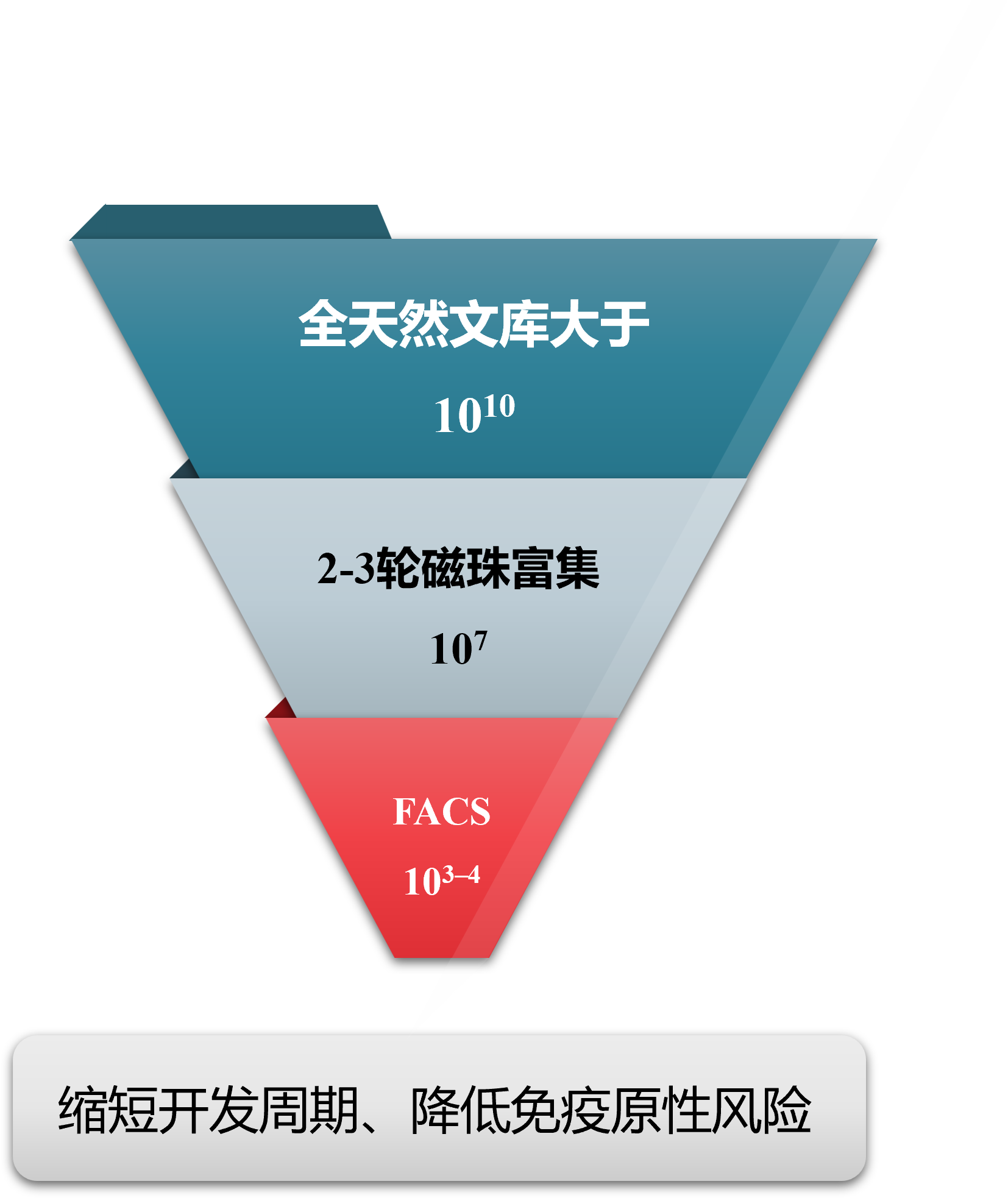 ά��������Ʒ��vic3308(�й�)�ɷ����޹�˾