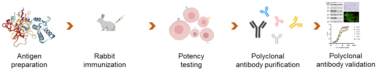 ά��������Ʒ��vic3308(�й�)�ɷ����޹�˾