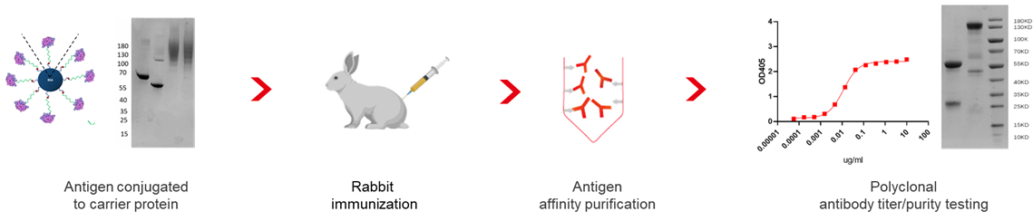 ά��������Ʒ��vic3308(�й�)�ɷ����޹�˾